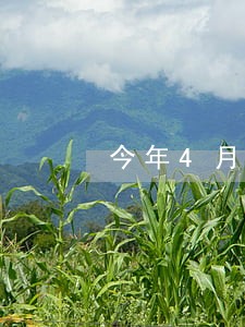今年4月份信用卡逾期 今年4月份信用卡逾期