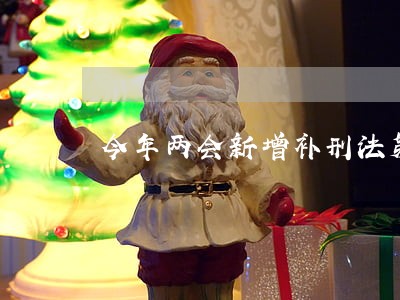 今年两会新增补刑法第九部 今年两会新增补刑法第九部