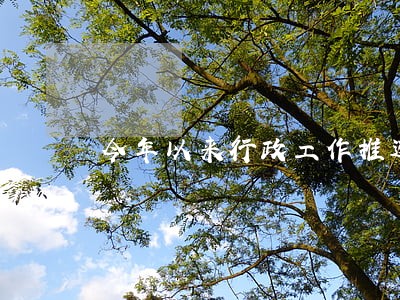 今年以来行政工作推进情况 今年以来行政工作推进情况