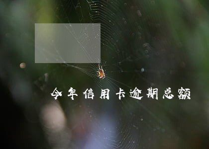 今年信用卡逾期总额