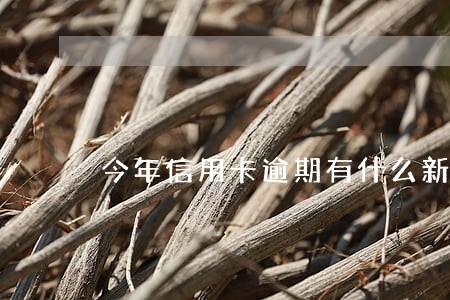 今年信用卡逾期有什么新政策 今年信用卡逾期有什么新政策