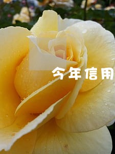 今年信用卡逾期的有多少人 今年信用卡逾期的有多少人