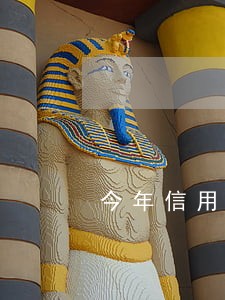 今年信用卡逾期经侦