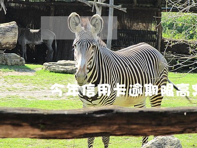 今年信用卡逾期限高案例 今年信用卡逾期限高案例
