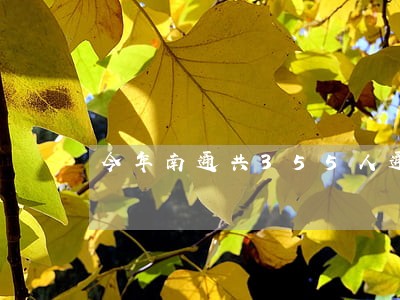 今年南通共355人通过考试 今年南通共355人通过考试