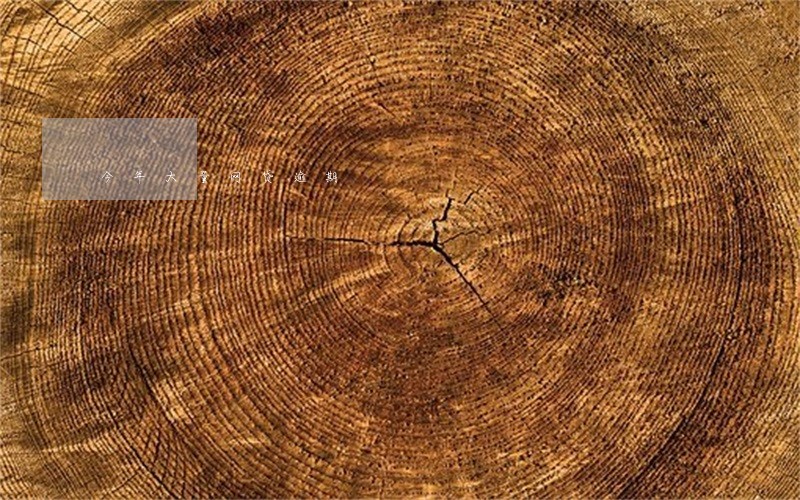 今年大量网贷逾期 今年大量网贷逾期