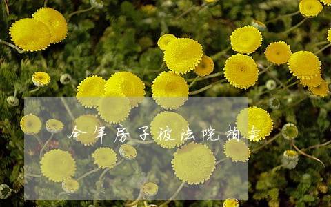 今年房子被法院拍卖 今年房子被法院拍卖