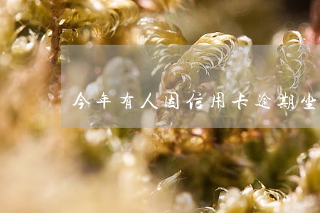 今年有人因信用卡逾期坐牢了吗