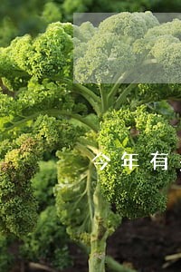 今年有多少人信用卡逾期的 今年有多少人信用卡逾期的
