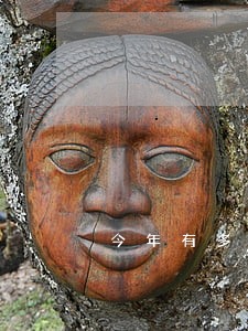 今年有多少信用逾期 今年有多少信用逾期