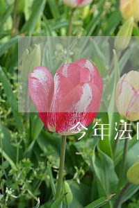 今年法院判决结束 今年法院判决结束