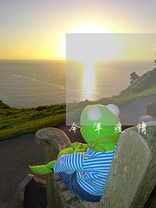 今年疫情信用卡逾期半月严重吗