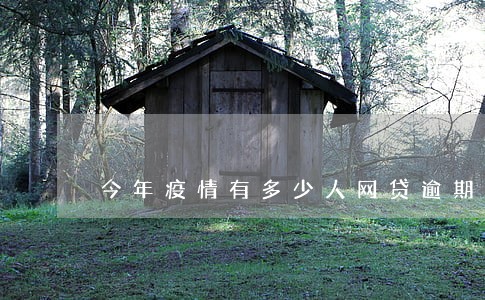 今年疫情有多少人网贷逾期