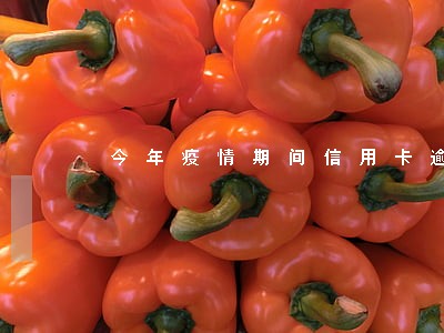 今年疫情期间信用卡逾期怎么办