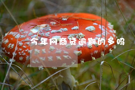 今年网商贷逾期的多吗 今年网商贷逾期的多吗