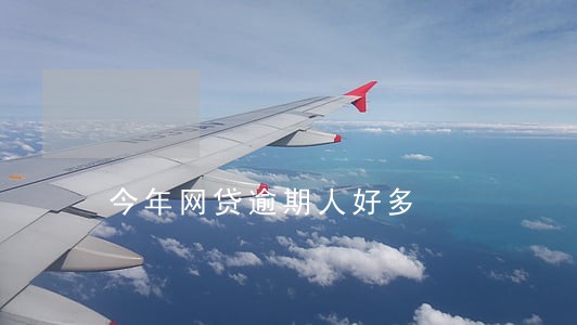 今年网贷逾期人好多