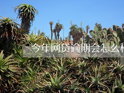今年网贷逾期会怎么样 今年网贷逾期会怎么样