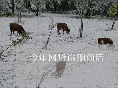 今年网贷逾期前后 今年网贷逾期前后