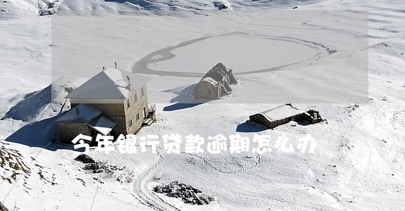 今年银行贷款逾期怎么办 今年银行贷款逾期怎么办