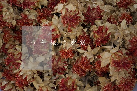 今年银行逾期 今年银行逾期