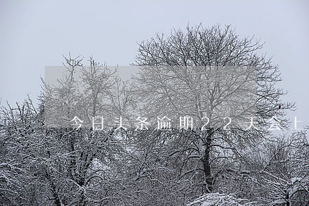 今日头条逾期22天会上征信吗 今日头条逾期22天会上征信吗