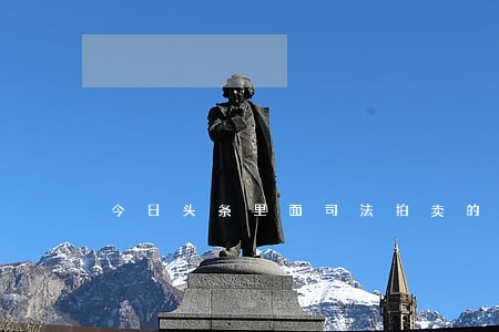 今日头条里面司法拍卖的房子 今日头条里面司法拍卖的房子