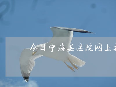 今日宁海县法院网上拍买 今日宁海县法院网上拍买
