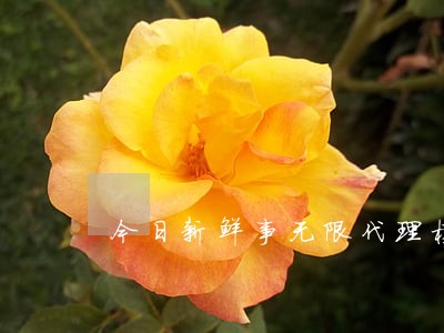 今日新鲜事无限代理模式违法吗