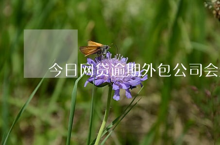 今日网贷逾期外包公司会起诉吗 今日网贷逾期外包公司会起诉吗