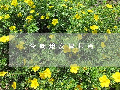 今晚递交律师函 今晚递交律师函