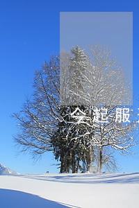今起服刑人员可申请法律援助 今起服刑人员可申请法律援助