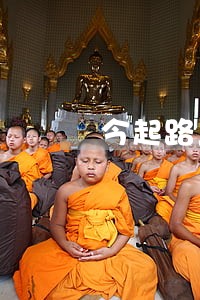 今起路上看到司机违法请举报