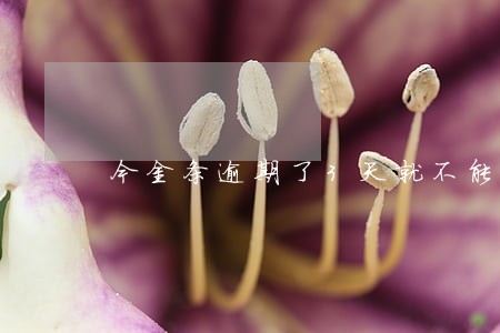 今金条逾期了3天就不能借l 今金条逾期了3天就不能借l