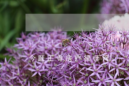 今题王寺房产律师网 今题王寺房产律师网