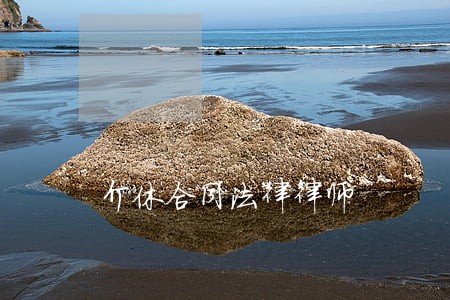 介休合同法律律师 介休合同法律律师