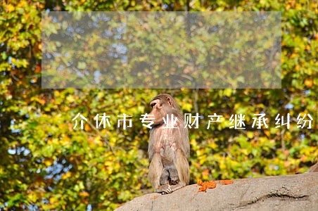 介休市专业财产继承纠纷律师 介休市专业财产继承纠纷律师