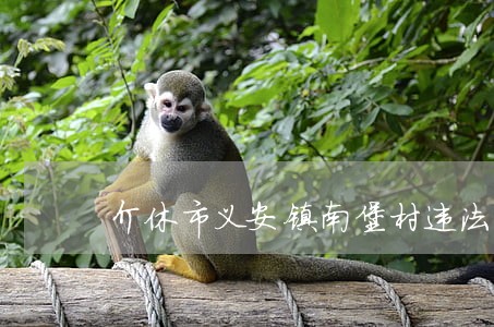介休市义安镇南堡村违法占地 介休市义安镇南堡村违法占地