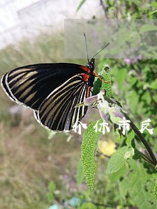 介休市反不正当竞争律师在线咨询 介休市反不正当竞争律师在线咨询