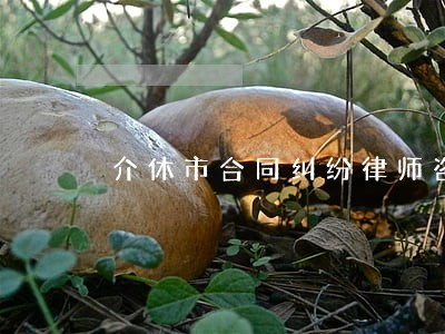 介休市合同纠纷律师咨询电话 介休市合同纠纷律师咨询电话