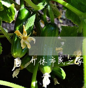 介休市民之家法律咨询电话 介休市民之家法律咨询电话