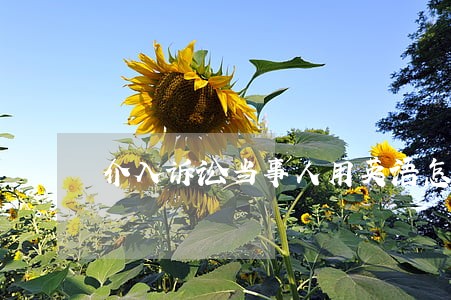介入诉讼当事人用英语怎么说