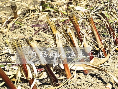 介绍他人违法工作 介绍他人违法工作