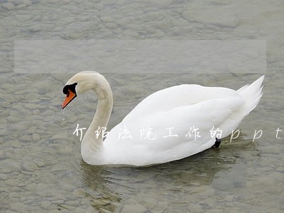 介绍法院工作的ppt