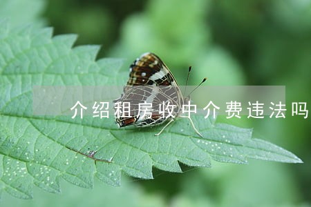 介绍租房收中介费违法吗 介绍租房收中介费违法吗