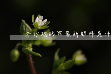 介绍贿赂罪最新解释是什么 介绍贿赂罪最新解释是什么