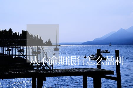 从不逾期银行怎么盈利 从不逾期银行怎么盈利