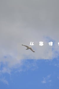 从事律师工作的人问题和挑战 从事律师工作的人问题和挑战