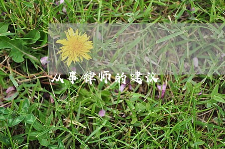 从事律师的建议