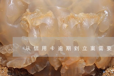 从信用卡逾期到立案需要多久 从信用卡逾期到立案需要多久