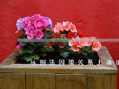 从刑法因果关系上来讲 从刑法因果关系上来讲